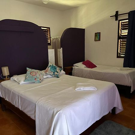 Hotel Maya Luna Adults Only Mahahual Eksteriør bilde