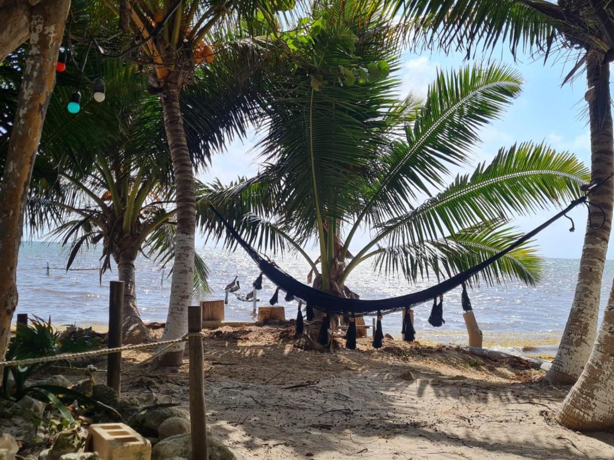 Hotel Maya Luna Adults Only Mahahual Eksteriør bilde