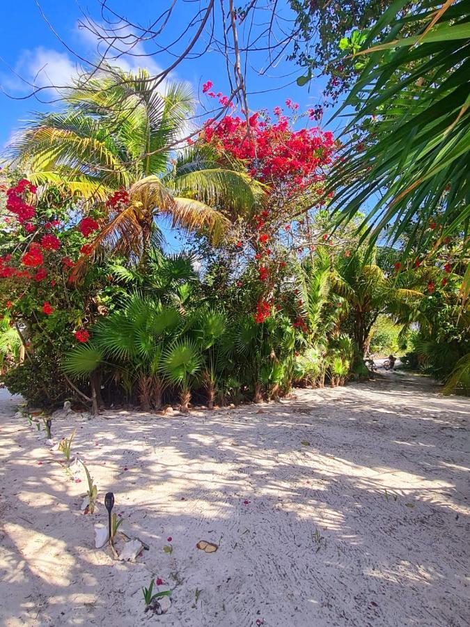 Hotel Maya Luna Adults Only Mahahual Eksteriør bilde