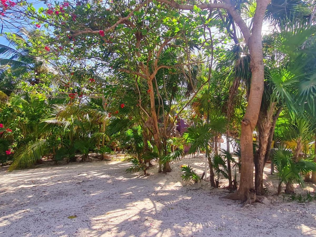 Hotel Maya Luna Adults Only Mahahual Eksteriør bilde
