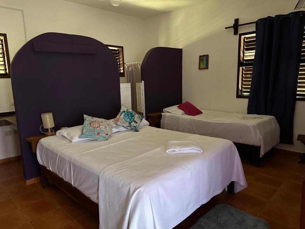 Hotel Maya Luna Adults Only Mahahual Eksteriør bilde
