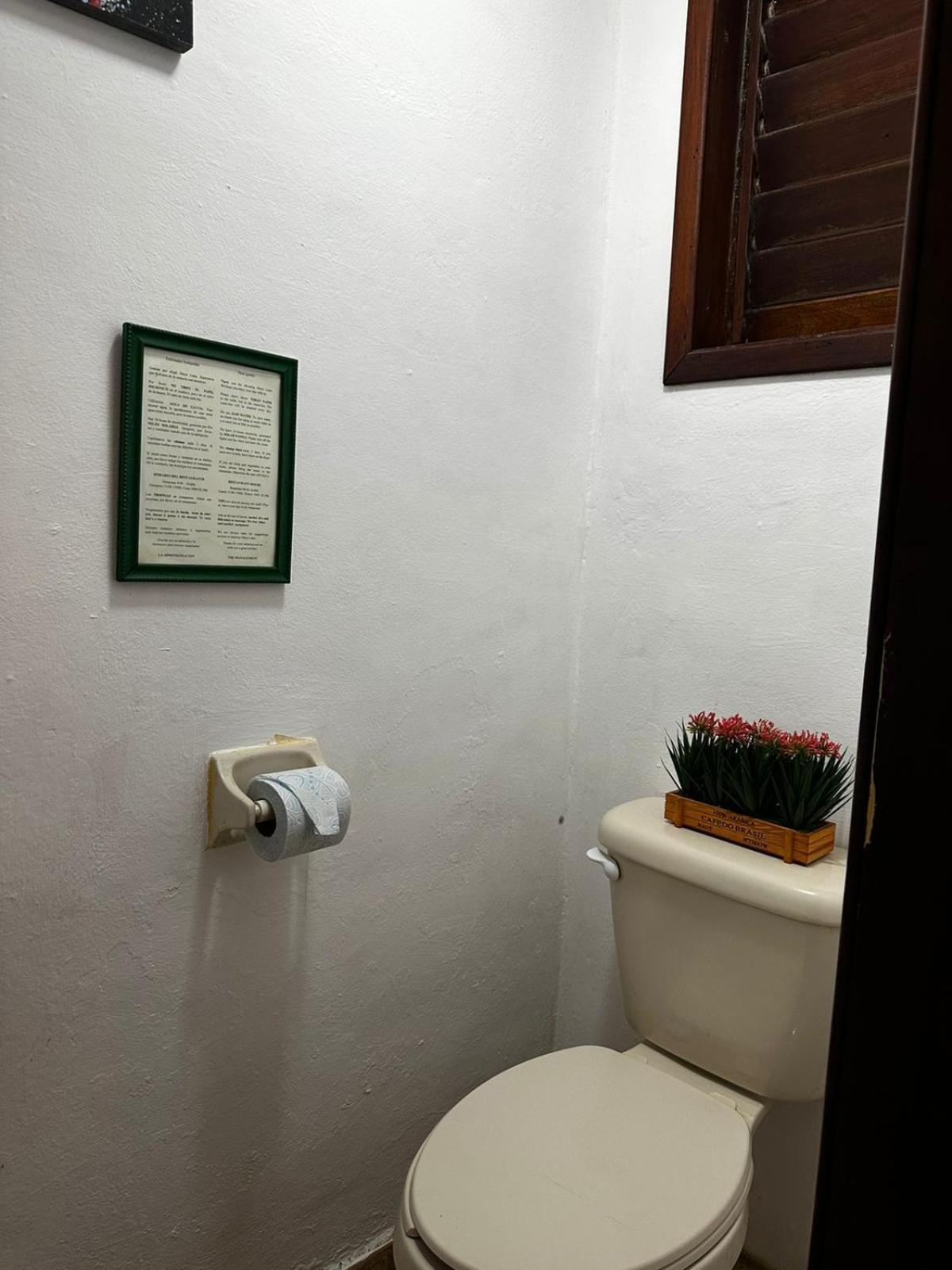 Hotel Maya Luna Adults Only Mahahual Eksteriør bilde
